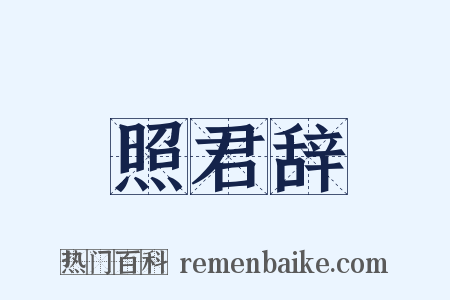 照君辞是什么意思的图片